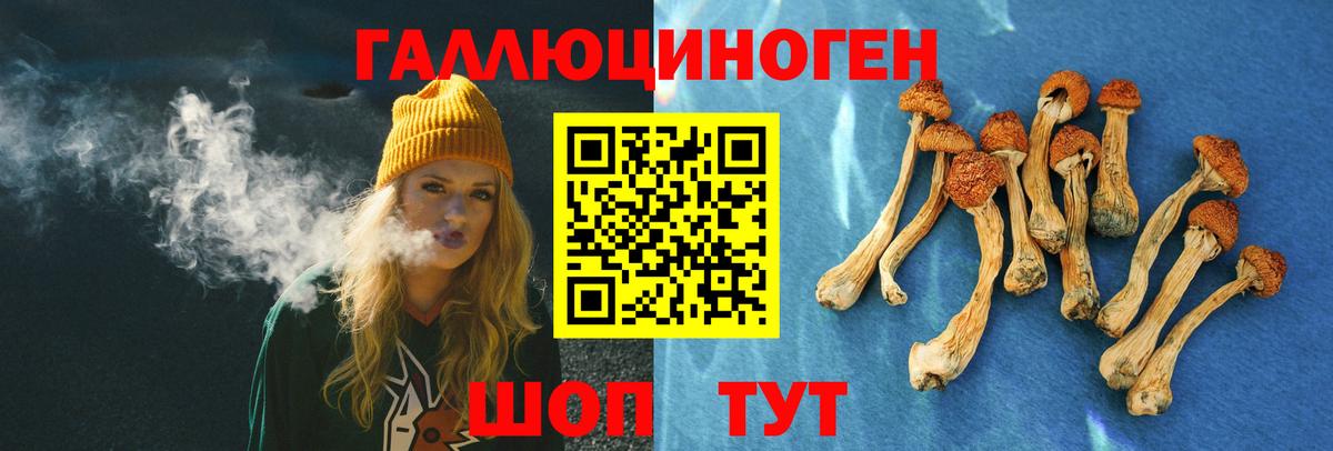 Кызыл  Галлюциногенные грибы мухоморы  Псилоцибиновые грибы мухоморы  Вход с VPN 